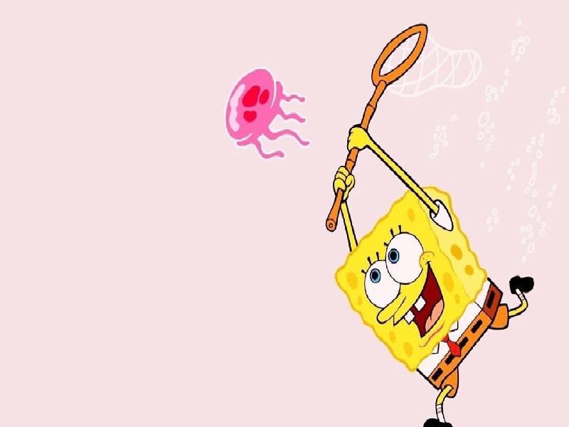 海口试管胚胎有多少（女性做试管年龄）